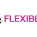Flexible Consulting